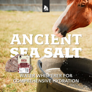 Redmond Rock® - Mined Horse Salt Lick