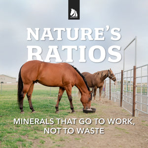 Redmond Rock® - Mined Horse Salt Lick