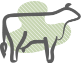 Redmond Agriculture Shape Icon