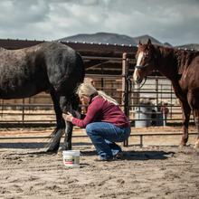 Load image into Gallery viewer, Red Edge - Equine Poultice
