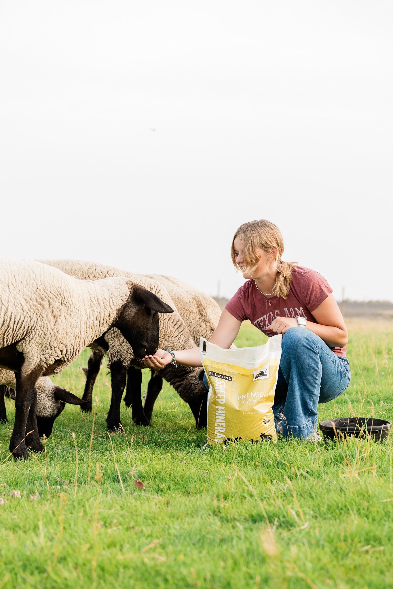 A young woman hand-feeds sheep in a green pasture with a bag of Redmond Sheep Mineral—natural loose minerals for sheep.