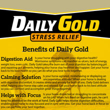 Load image into Gallery viewer, Daily Gold® Syringe - Digestive Stress Relief Horse Paste
